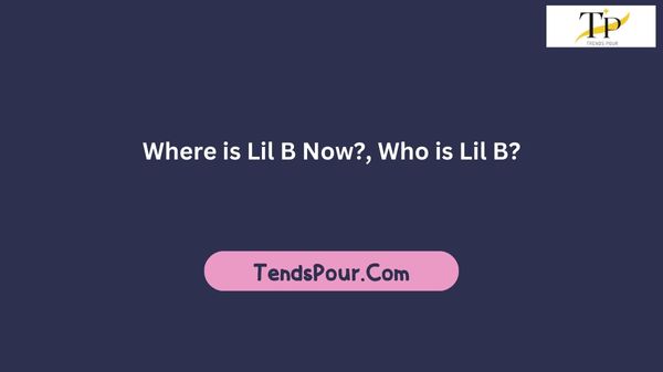 Where is Lil B Now?, Who is Lil B?